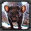 Icon_of [object Object] (64x64)