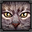 Icon_of [object Object] (64x64)