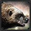 Icon_of [object Object] (64x64)