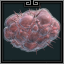 Icon_of [object Object]