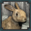 Icon_of [object Object]