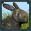 Icon_of [object Object]