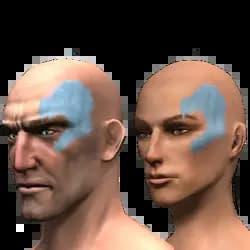 reward for 60-day of subscription: facial mark: ferocity illustration of the 60-day subscription reward: facial mark: ferocity